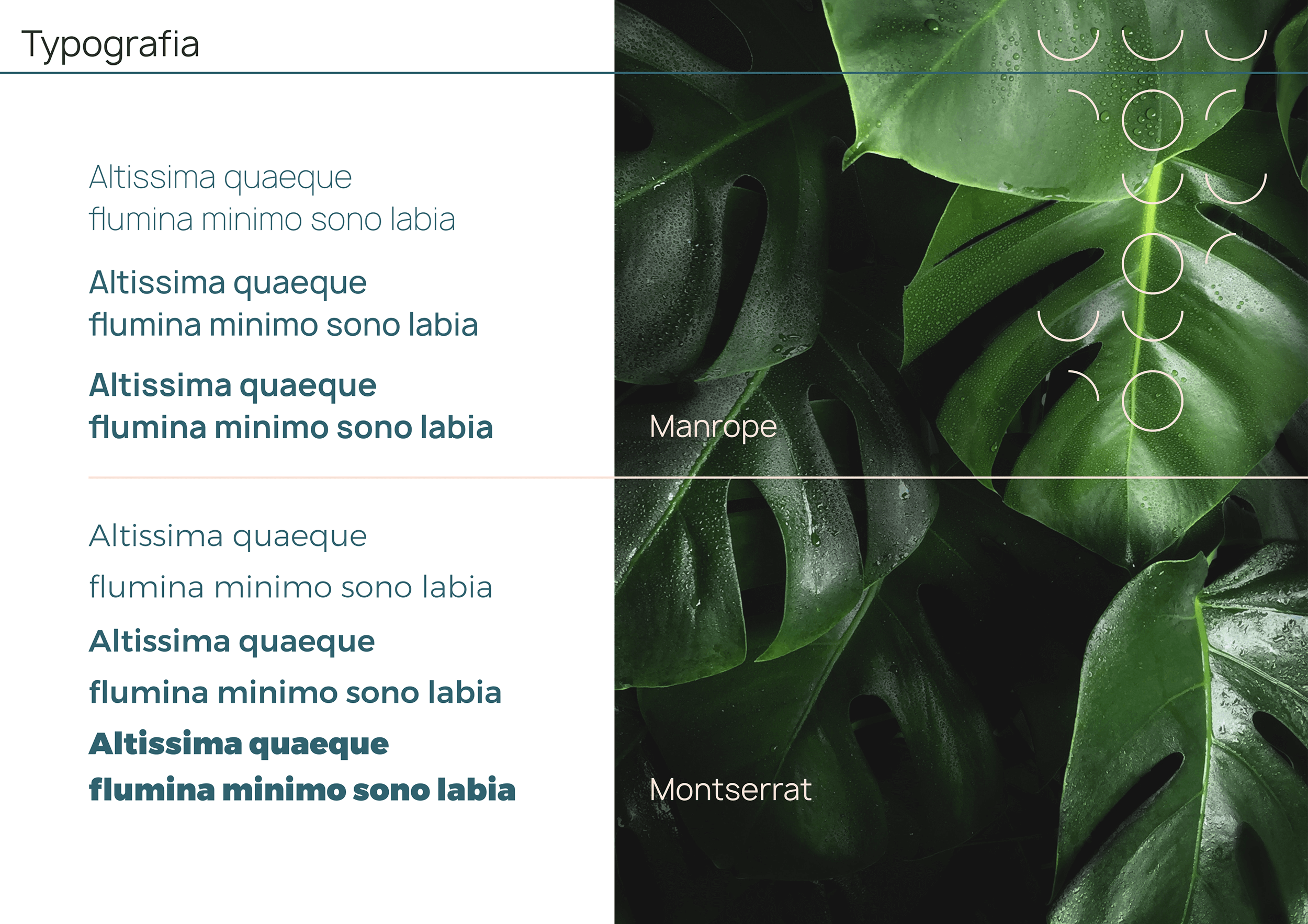 CED-OR - typografia